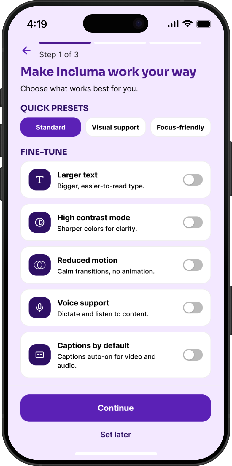 Standard accessibility preset screen